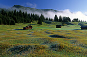 Barns on humpy meadow, Klais, Upper Bavaria, Bavaria, Germany