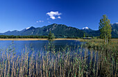 View over lake to mount Herzogstand, Murnauer Moos, Murnau, Upper Bavaria, Bavaria, Germany