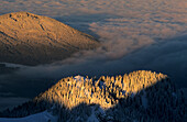 Cross on summit with winter forest in morning light, view from Wendelstein, Upper Bavaria, Bavaria, Germany
