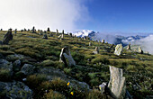 Cairns on summit of Peterskoepfl, Zillertal Alps, Tyrol, Austria