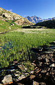 kleiner See mit Wollgras und Seelenkogel im Hintergrund, Texelgruppe, Südtirol, Italien