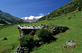 Heutadel im Ötztal, Ötztaler Alpen, Tirol, Österreich