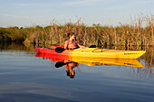 Kajaktour im Big Cypress National Park der Teil der Everglades ist, Florida, USA