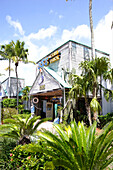 Restaurant Joe's Crab Shack, Florida, USA