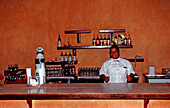 Barkeeper, Punta Cana, Karibik, Dominikanische Republik