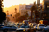 Rush Hour auf dem Hollywood Boulevard, Hollywood, L.A., Los Angeles, Kalifornien, USA