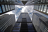 Blick von unten auf Hochhäuser, 7th Avenue, Manhattan, New York City, New York, USA, Amerika