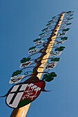 A May pole in Hammelburg, Rhoen, Bavaria, Germany