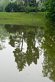 Calm waters of a lake reflecting some trees and a cyclist, Lazieni Park, Warsaw, Poland