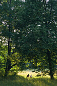 Paar sitzt auf einer Wiese im Park, München, Bayern, Deutschland