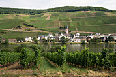 View at vineyards and the small town Enkirch at Moselle river, Enkirch, Rhineland-Palatinate, Germany