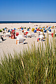 Strandgras, Strandkörbe, Juist, Ostfriesische Inseln, Ostfriesland, Niedersachsen, Deutschland