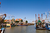 Hafen mit Krabbenkuttern, Neuharlingersiel, Ostfriesland, Niedersachsen, Deutschland