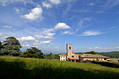 Winery, Abbadia Badia a Coltibuono, Lorenza di Medici, Tuscany, Italy