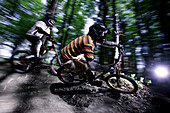 Two Mountainbiker rideing their bikes in the forest, Dillingen, Bavaria, Germany
