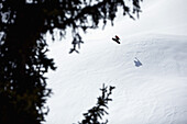 Snowboarder jumping, Reutte, Tyrol, Austria