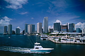 Yachthafen Miamarina, Bayfront, Downtown, Miami, Florida, USA