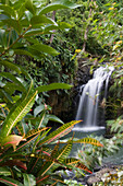 Annandale Falls Wasserfall, nahe Constantine, Grenada, Kleine Antillen, Karibik