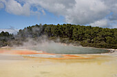 Champage Pool im Wai-O-Tapu Thermal Wonderland, Waiotapu, nahe Rotorua, Nordinsel, Neuseeland