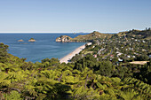 Treeferns and Hahei Beach, Hahei, Coromandel Peninsula, North Island, New Zealand