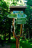Direction signs for walking at Rennsteig near Ruhla, Thuringia, Germany