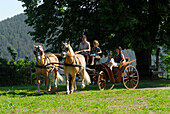 Horse carriage with Haflinger horses in Meura, Thuringia, Germany