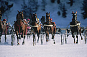 Horse race in the snow, St. Moritz, Europe