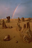 Spitze Felsformationen, Pinnacles, Nambung-Nationalpark, Westaustralien