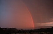 Regenbogen