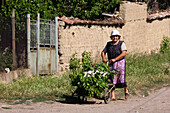 Peasant woman, Muselievo near Pleven, Bulgaria