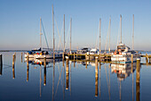 Boote im Yachhafen, Vitte, Insel Hiddensee, Mecklenburg-Vorpommern, Deutschland