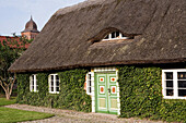 Typical Thatched Roof Cottage, Gingst, Rügen, Baltic Sea, Mecklenburg-Western Pomerania, Germany