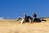 Cowboys reiten, Wilder Westen, Oregon, USA