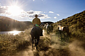 Cowboys mit Pferden, Wilder Westen, Oregon, USA