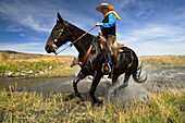 Cowboy reitet in Bach, Wilder Westen, Oregon, USA