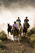 Cowboys reiten, Oregon, USA