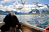 A fisherman cleaning his caught fish, seagulls flying around, Hadselsand, Austvagoya Island, Lofoten, Norway