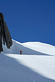 Backcountry skier ascending Verborgenes Kar, Lechtal Alps, Vorarlberg, Austria