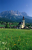 church of Going with sea of dandelion and Wilder Kaiser range, Kaiser range, Tyrol, Austria