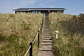 Treppenstufen führen zu Ferienhaus, Henne Strand, Jütland, Dänemark, Europa