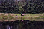 Family Preparing Fishing Rod at Lake, Near Henne, Central Jutland, Denmark