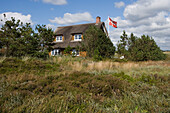 Ferienhaus mit Reetdach in Dünen, Henne Strand, Jütland, Dänemark, Europa