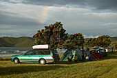Campground at the beach, glooming Christmas trees, Port Jackson on the northern tip of Coromandel Peninsula, North Island, New Zealand