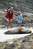 Kinder betrachten Seehund, New Zealand Fur Seal, Wharariki Beach, bei Puponga, Nordwestküste, Südinsel, Neuseeland