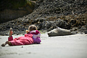 Child facing New Zealand Fur Seal, Wharariki Beach, low tide, near Puponga, northwestern coast of South Island, New Zealand