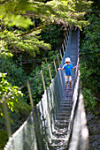 Mädchen auf Hängebrücke über Fluß, Wanderung im Abel Tasman Nat.Park, Nordüste, Südinsel, Neuseeland