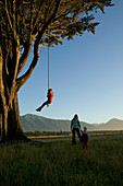 Children playing on hanging rope, giant tree at the beach near Haast, Westcoast, South Island, New Zealand