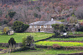 View showing an old farm near the village of Renche, near Samos, Galicia, Spain