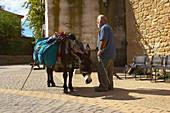 Ort am Jakobsweg, Pilger mit Esel, Villamajor de Monjard, Navarra, Spanien