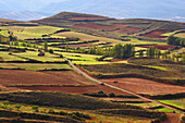Felder mit Ort am Jakobsweg, Blick in das Ebrobecken, Clavijo, La Rioja, Spanien